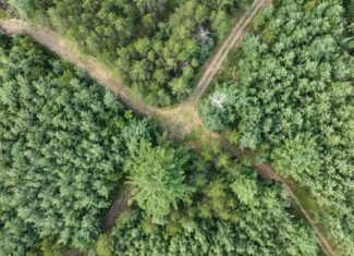 65+/- Acres of Turnkey Whitetail Country — Minutes from Castle Rock Lake