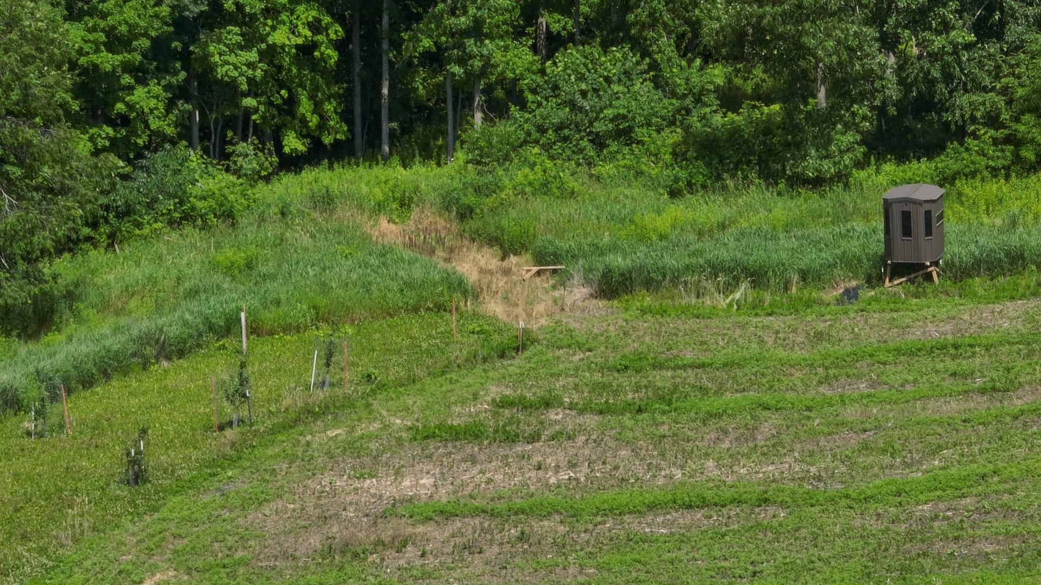 77.85+/- Acre Professionally Designed Whitetail Hunting Property for Sale in Vernon County, Wisconsin