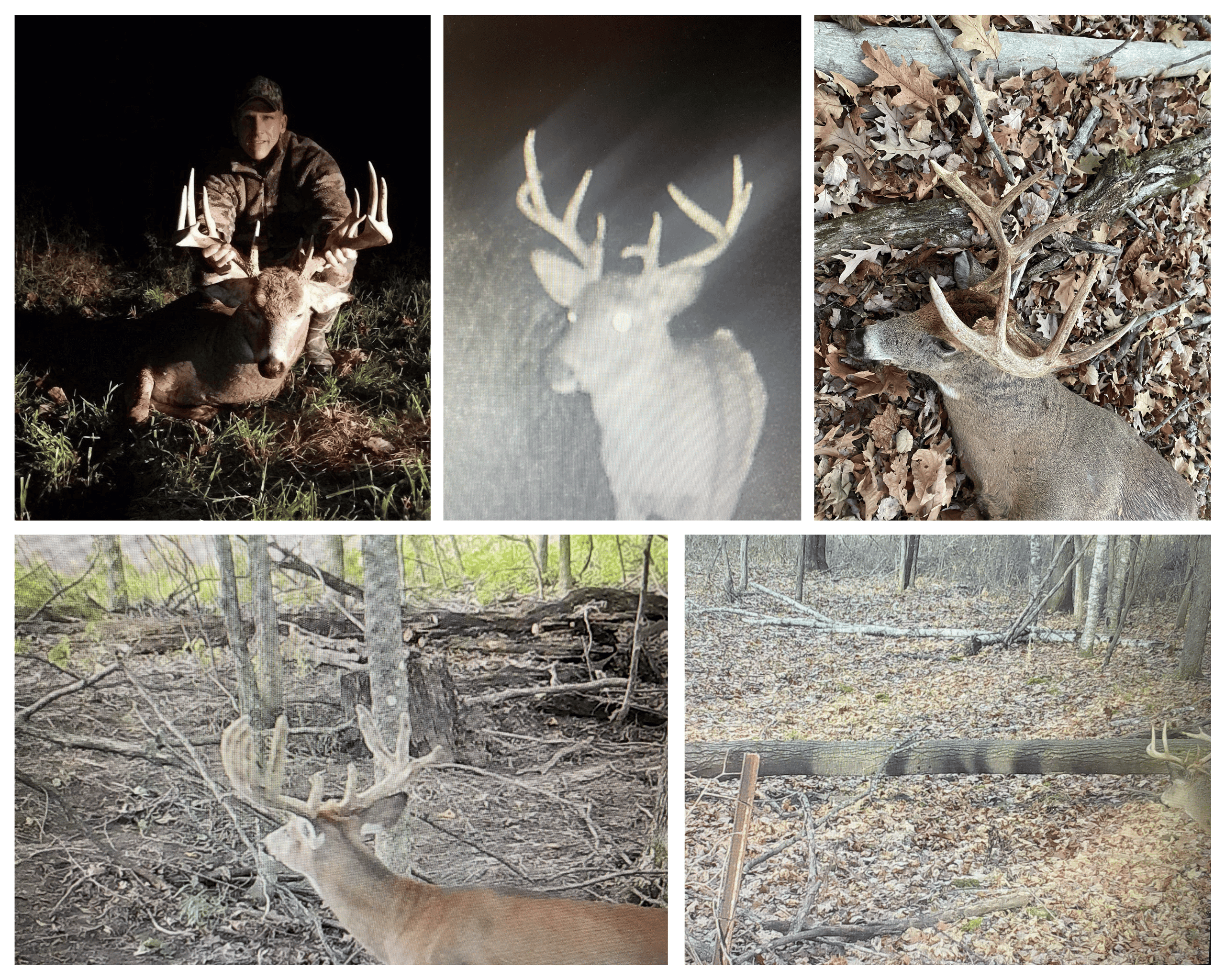 77.85+/- Acre Professionally Designed Whitetail Hunting Property for Sale in Vernon County, Wisconsin