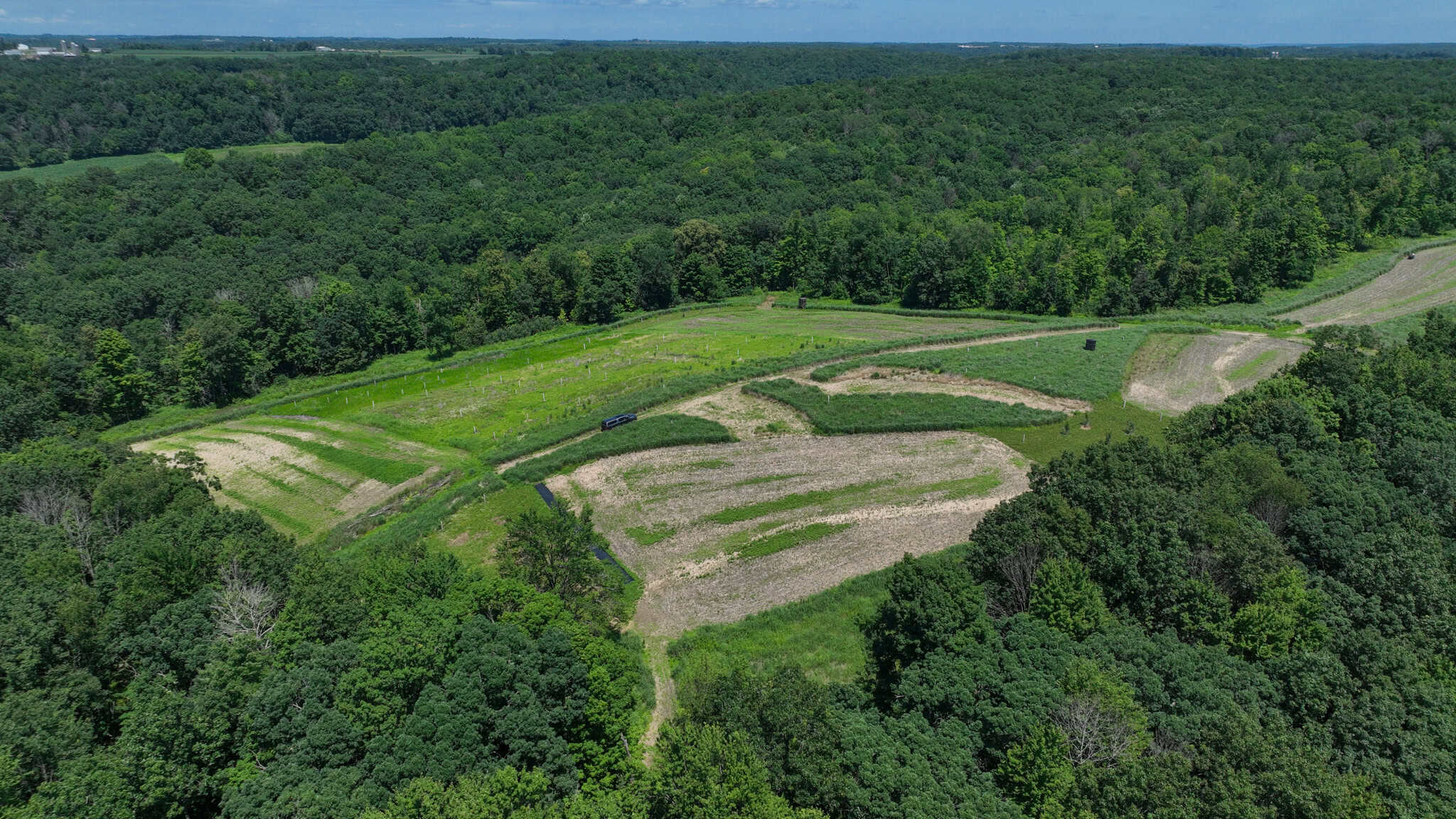 77.85+/- Acre Professionally Designed Whitetail Hunting Property for Sale in Vernon County, Wisconsin