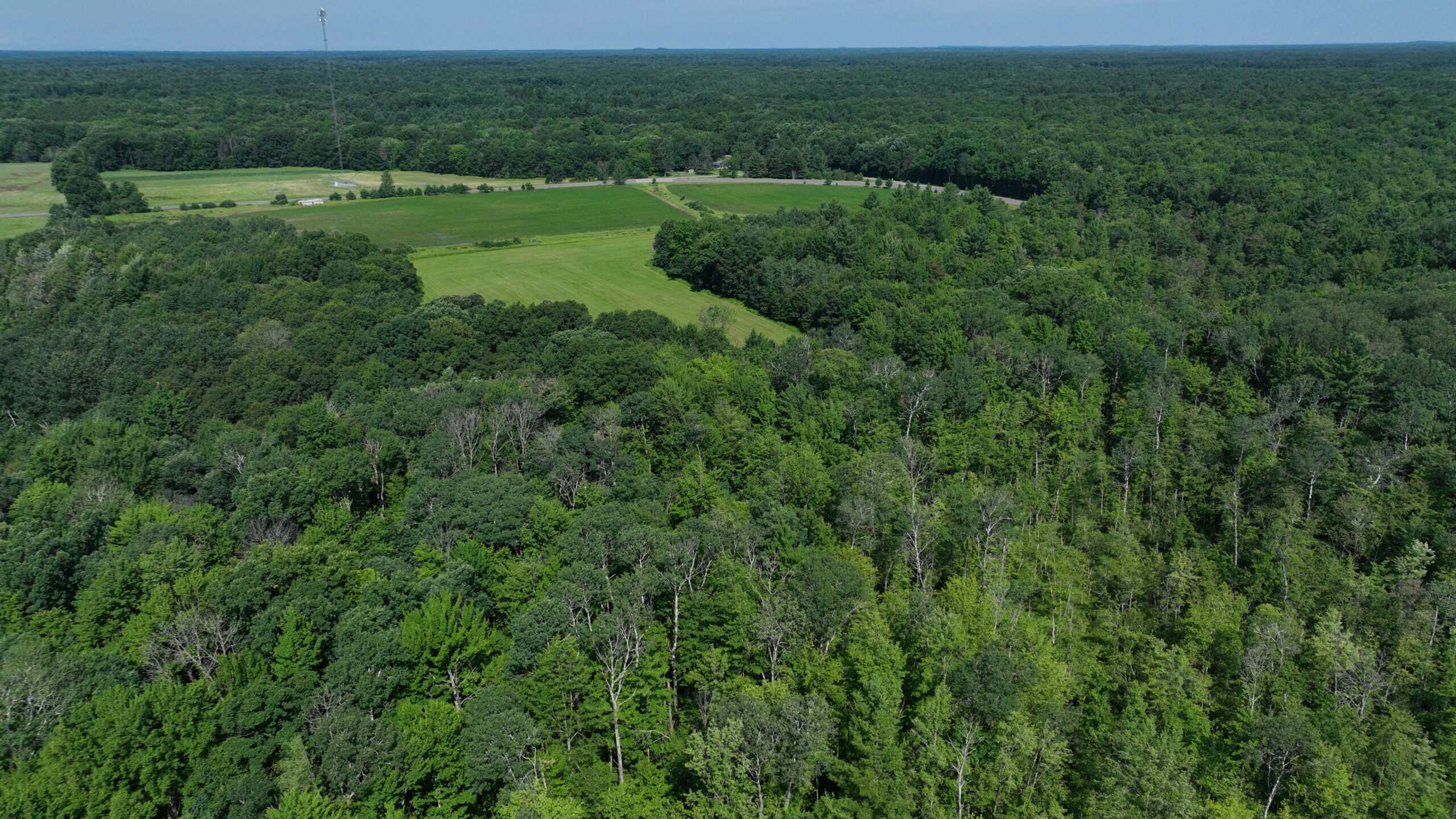 38.85-Acre Hunting & Recreational Property for Sale in Wood County, Wisconsin