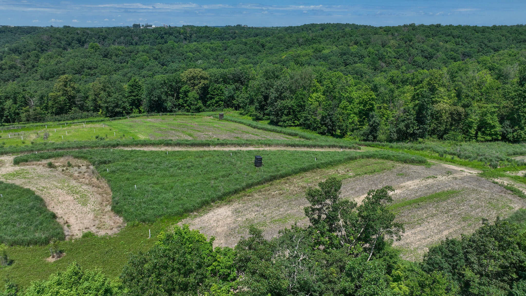 77.85+/- Acre Professionally Designed Whitetail Hunting Property for Sale in Vernon County, Wisconsin