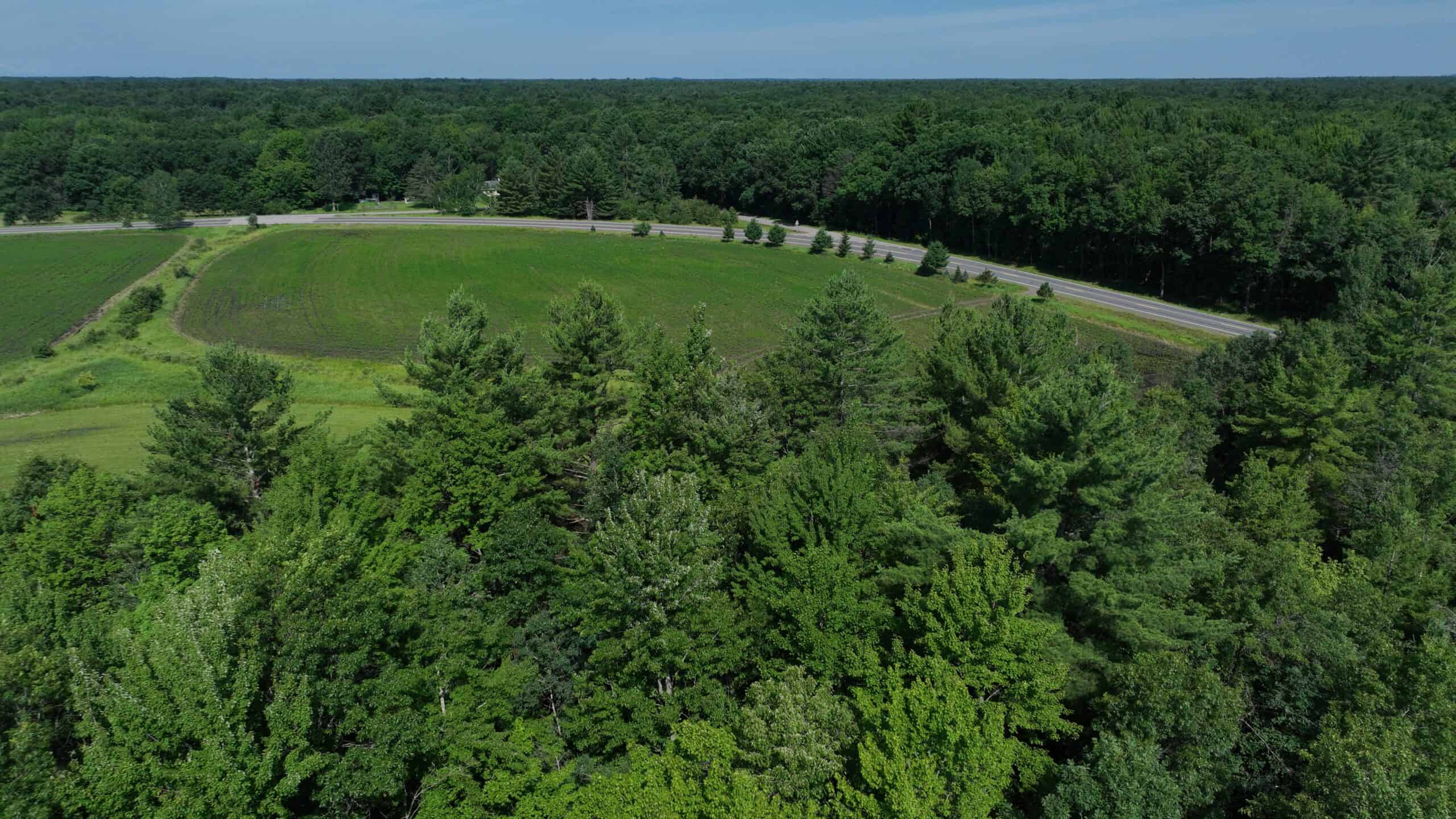 38.85-Acre Hunting & Recreational Property for Sale in Wood County, Wisconsin