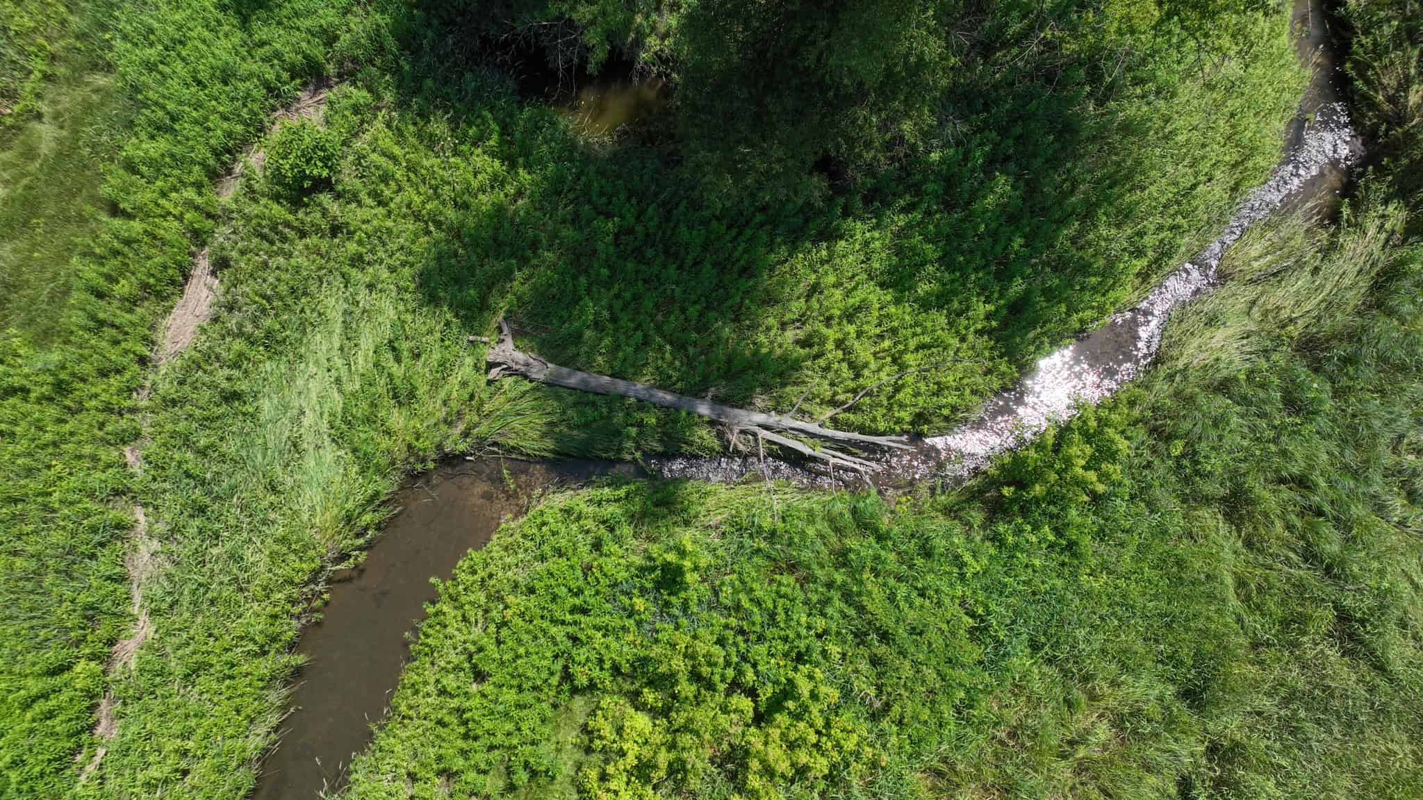 77.85+/- Acre Professionally Designed Whitetail Hunting Property for Sale in Vernon County, Wisconsin