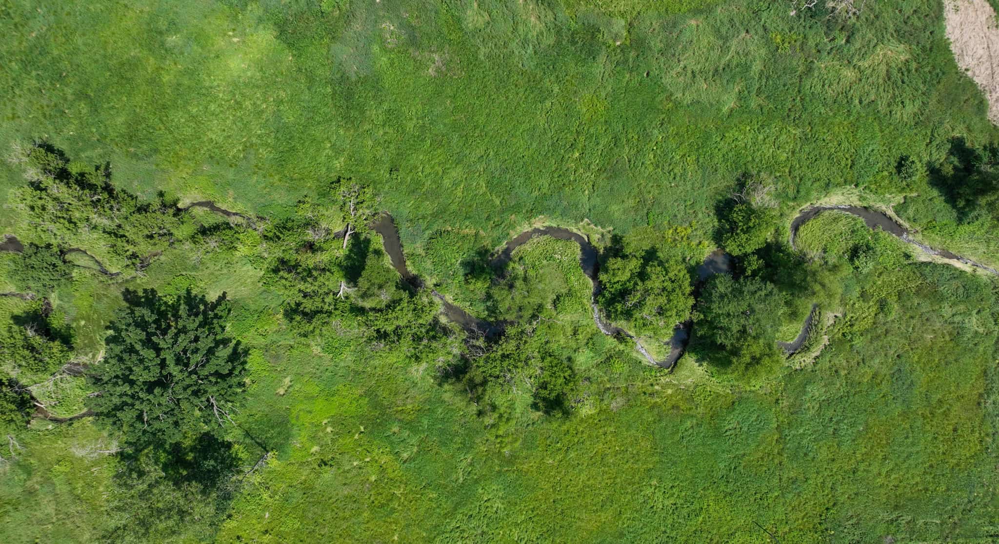77.85+/- Acre Professionally Designed Whitetail Hunting Property for Sale in Vernon County, Wisconsin