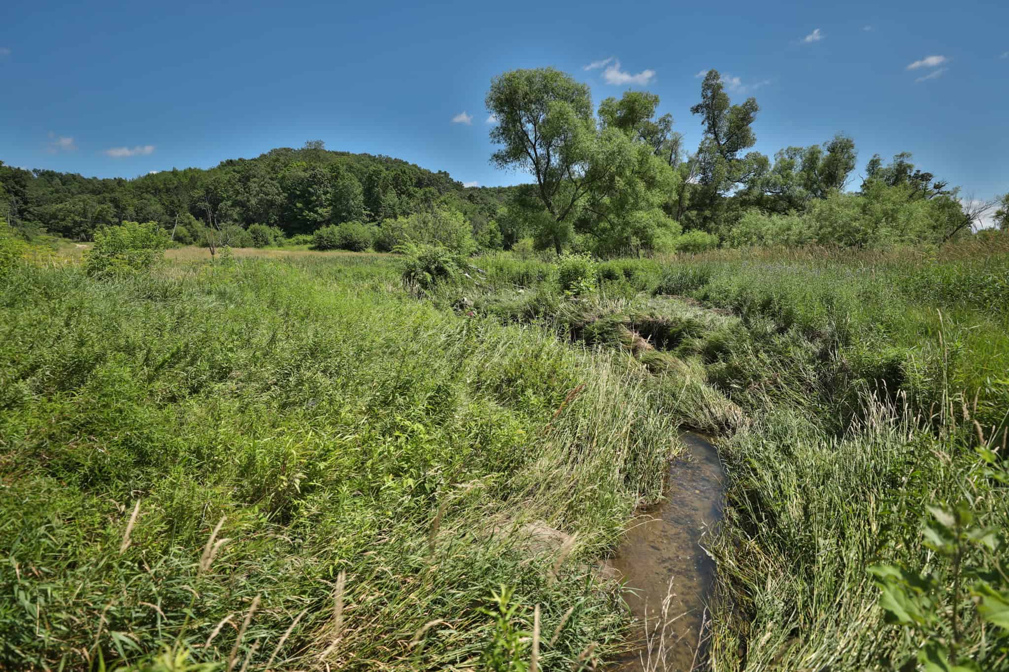77.85+/- Acre Professionally Designed Whitetail Hunting Property for Sale in Vernon County, Wisconsin