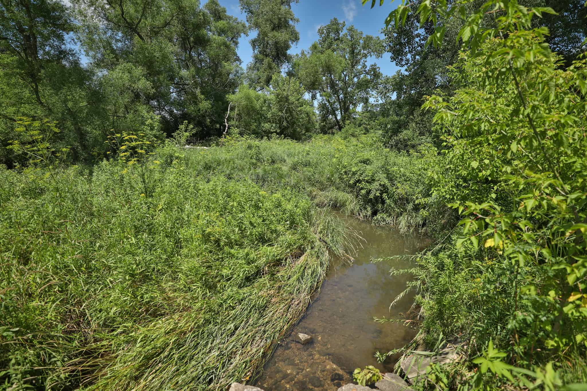 77.85+/- Acre Professionally Designed Whitetail Hunting Property for Sale in Vernon County, Wisconsin