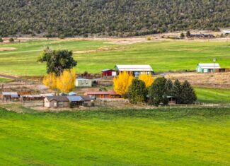Colorado Horse Property with Multiple Homes & Irrigated Land