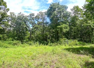 Truman Lake Hunting Property