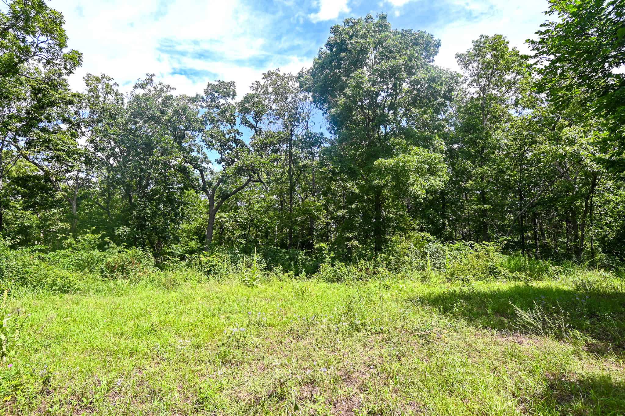 Truman Lake Hunting Property