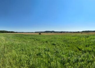 Wisconsin Conservation Land for Sale | 97± Acres in Monroe County