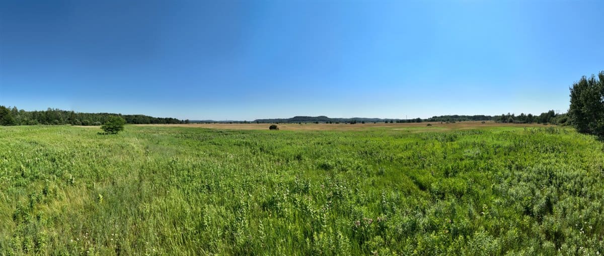 Wisconsin Conservation Land for Sale | 97± Acres in Monroe County