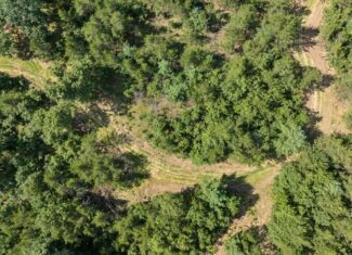 65+/- Acres of Turnkey Whitetail Country — Minutes from Castle Rock Lake
