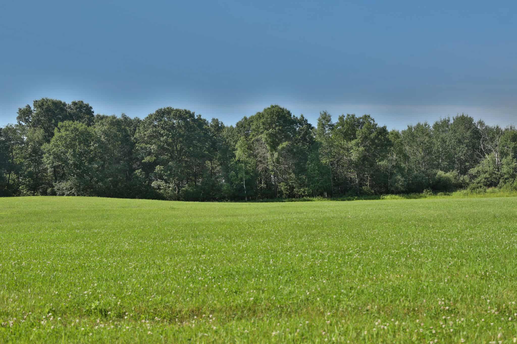 38.85-Acre Hunting & Recreational Property for Sale in Wood County, Wisconsin