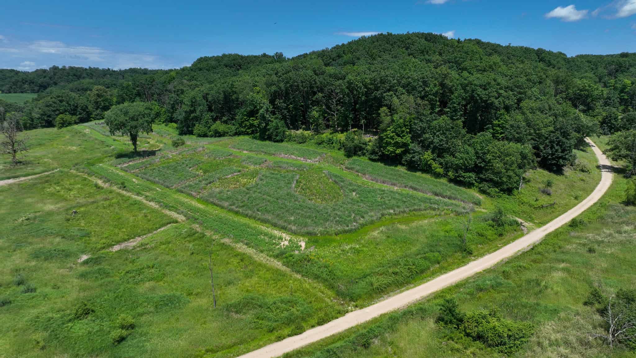 77.85+/- Acre Professionally Designed Whitetail Hunting Property for Sale in Vernon County, Wisconsin