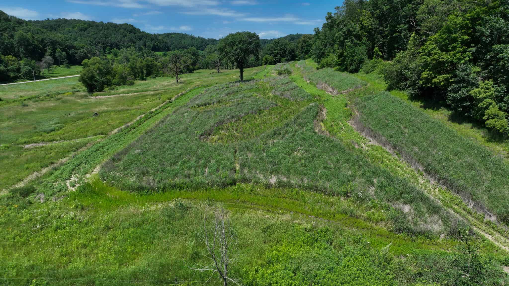 77.85+/- Acre Professionally Designed Whitetail Hunting Property for Sale in Vernon County, Wisconsin
