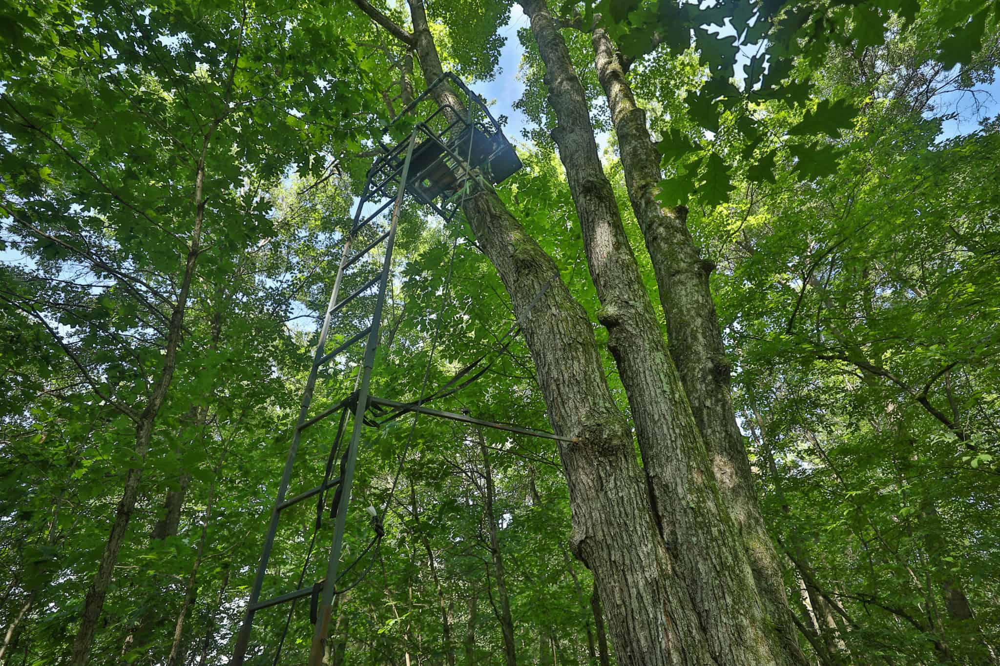 38.85-Acre Hunting & Recreational Property for Sale in Wood County, Wisconsin