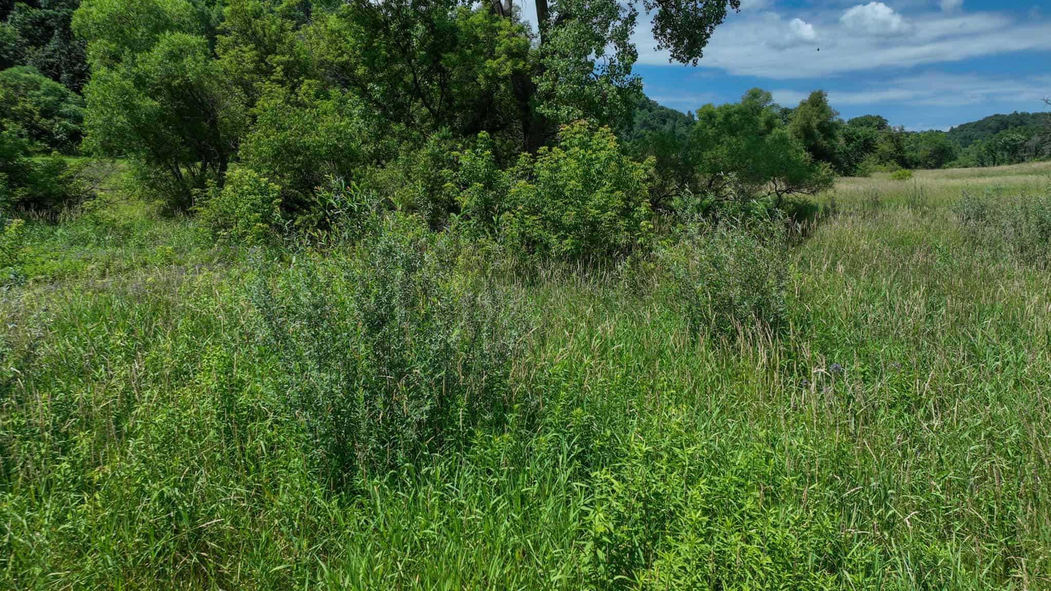 77.85+/- Acre Professionally Designed Whitetail Hunting Property for Sale in Vernon County, Wisconsin