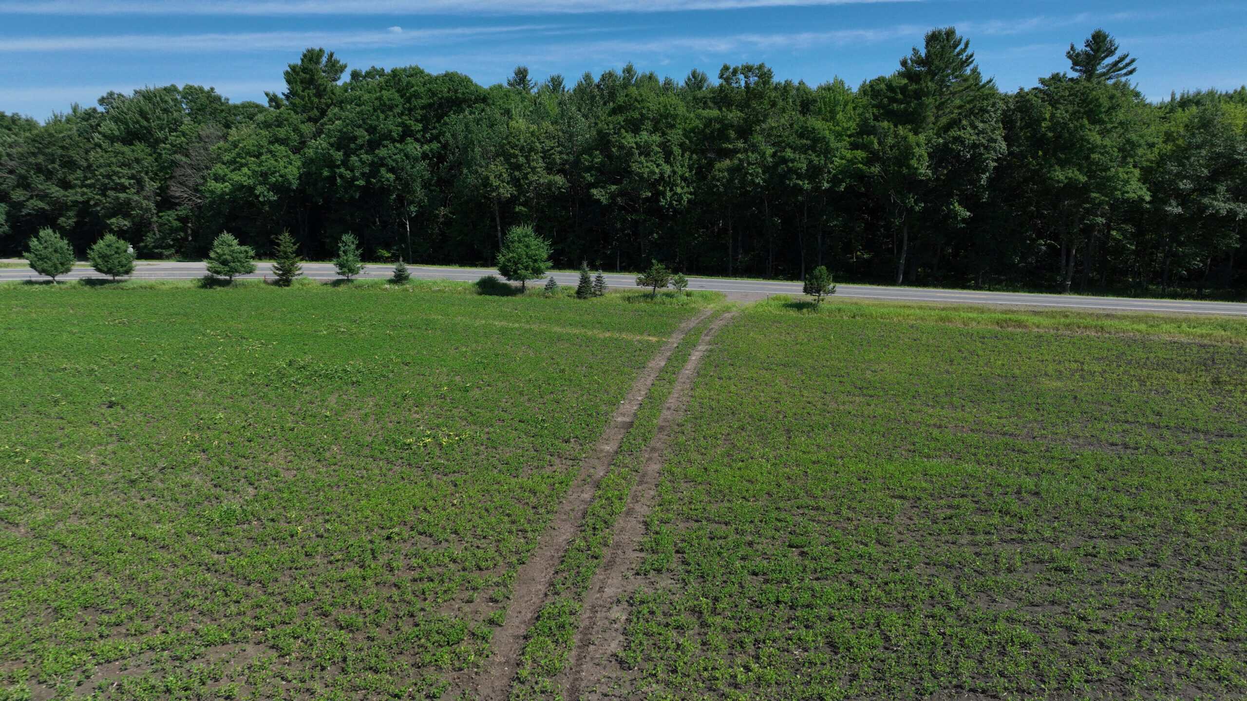 38.85-Acre Hunting & Recreational Property for Sale in Wood County, Wisconsin