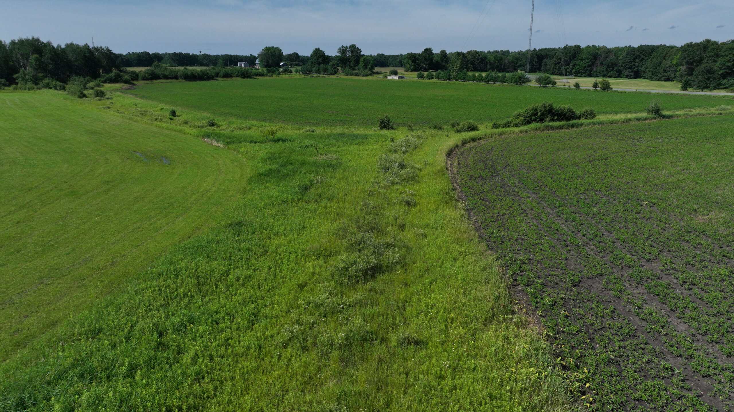 38.85-Acre Hunting & Recreational Property for Sale in Wood County, Wisconsin
