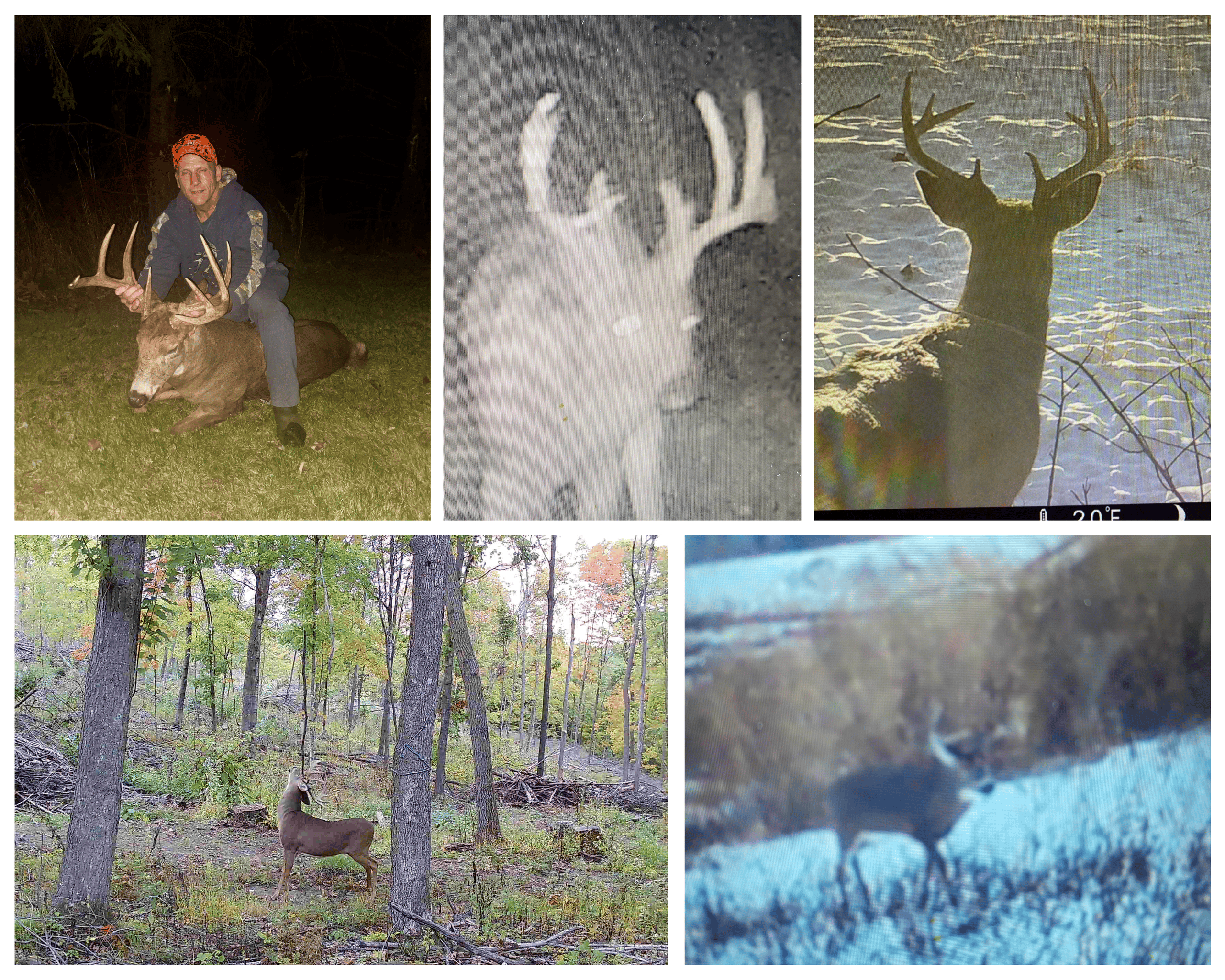 77.85+/- Acre Professionally Designed Whitetail Hunting Property for Sale in Vernon County, Wisconsin