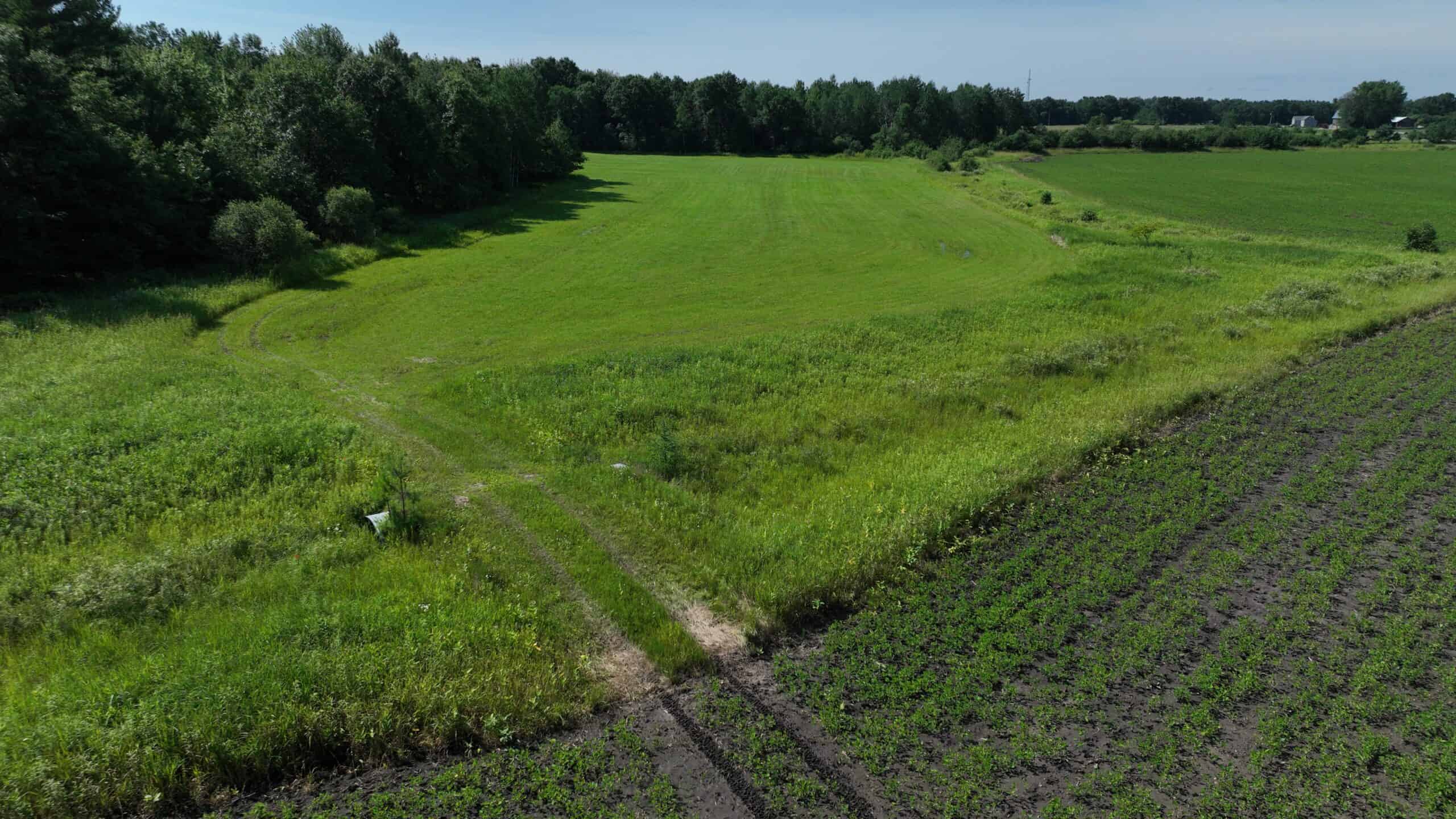 38.85-Acre Hunting & Recreational Property for Sale in Wood County, Wisconsin