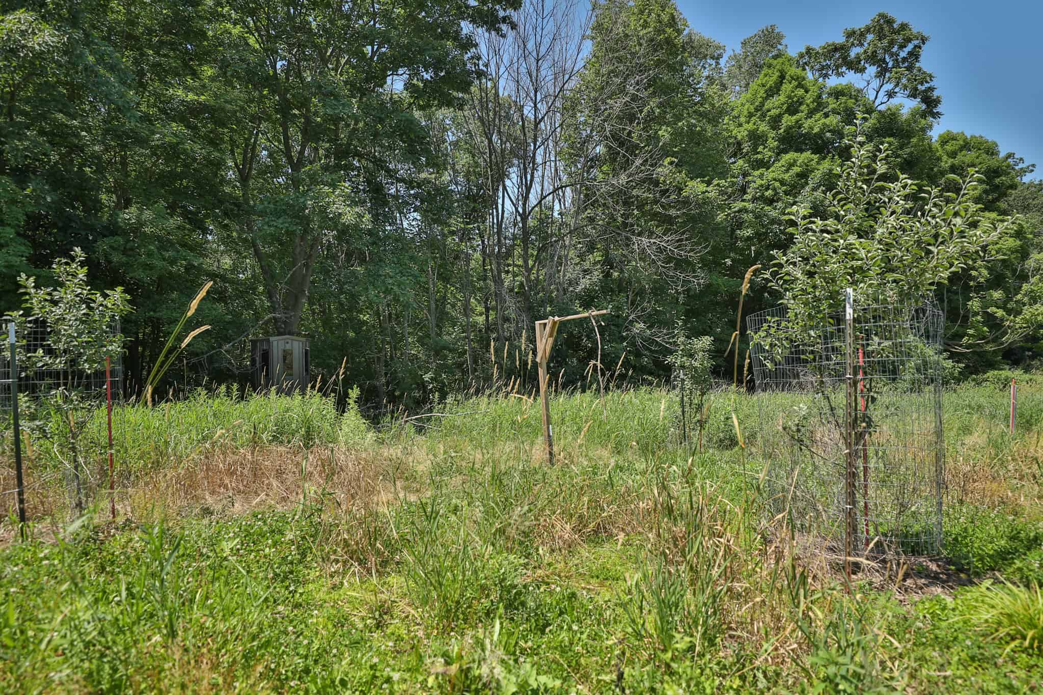 77.85+/- Acre Professionally Designed Whitetail Hunting Property for Sale in Vernon County, Wisconsin