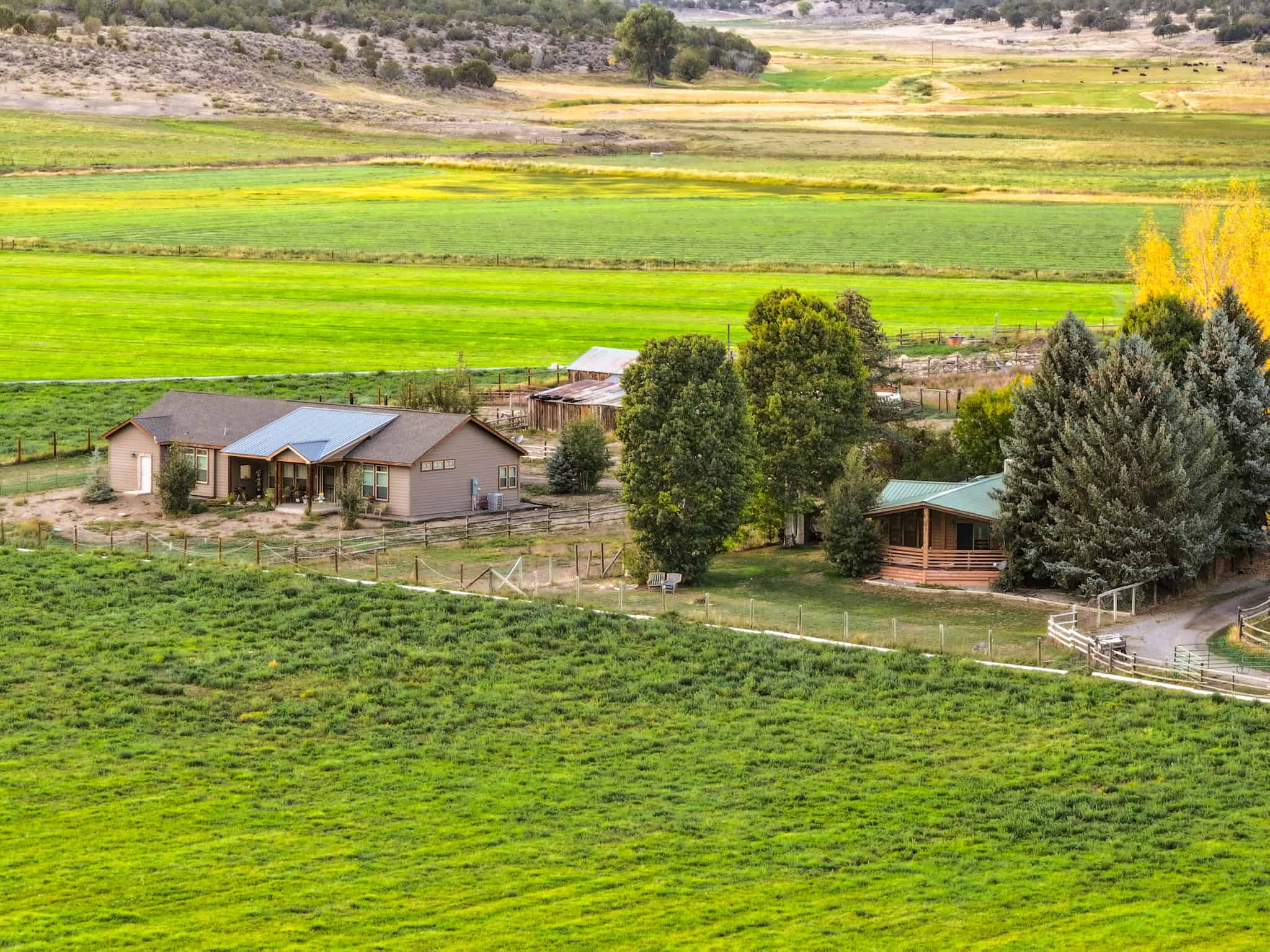 Colorado Horse Property with Multiple Homes & Irrigated Land