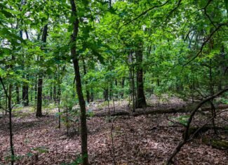 Truman Lake Hunting Property