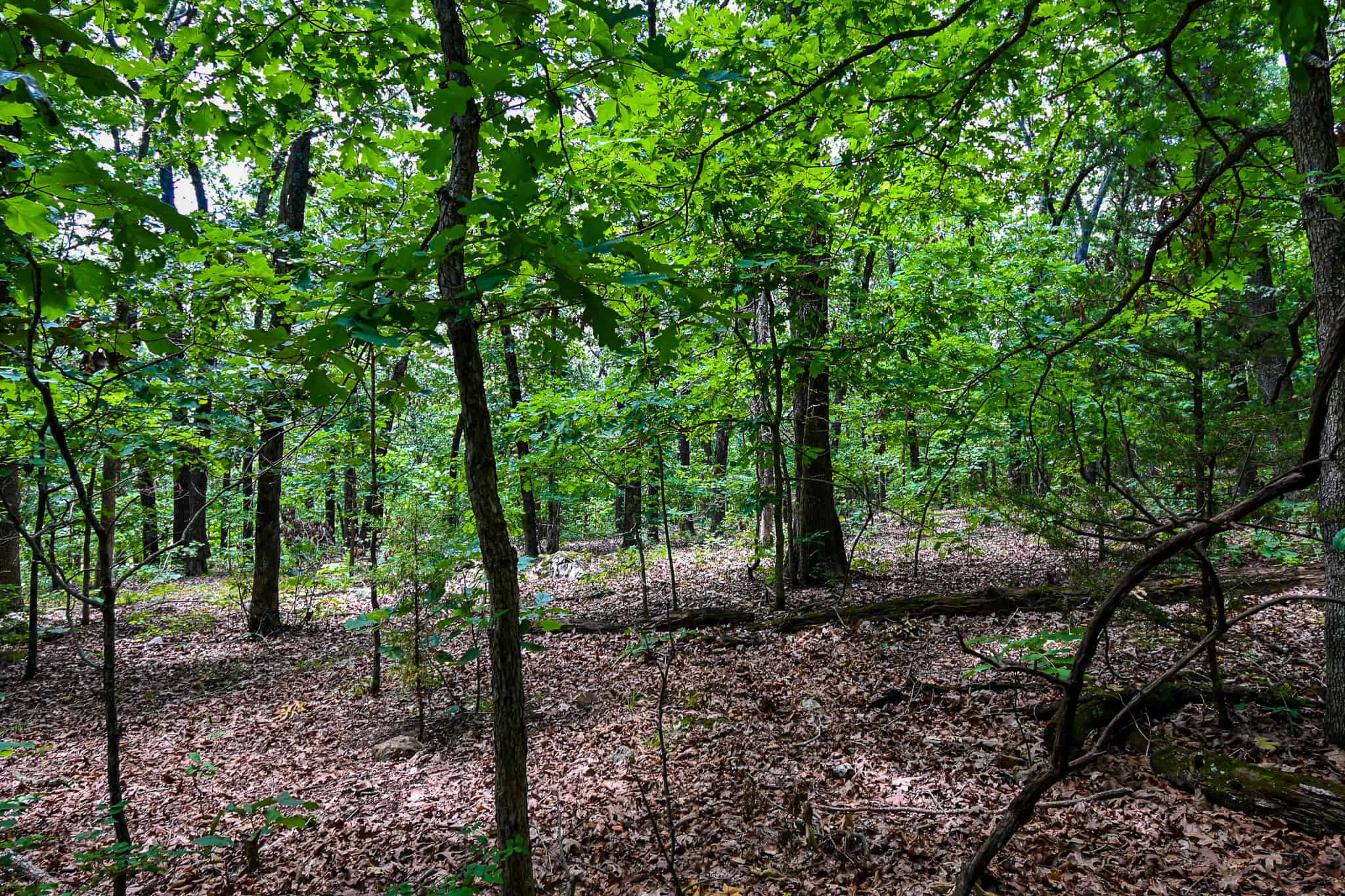 Truman Lake Hunting Property