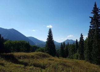 Colorado Wilderness Elk Hunting Outfitting Business for Sale