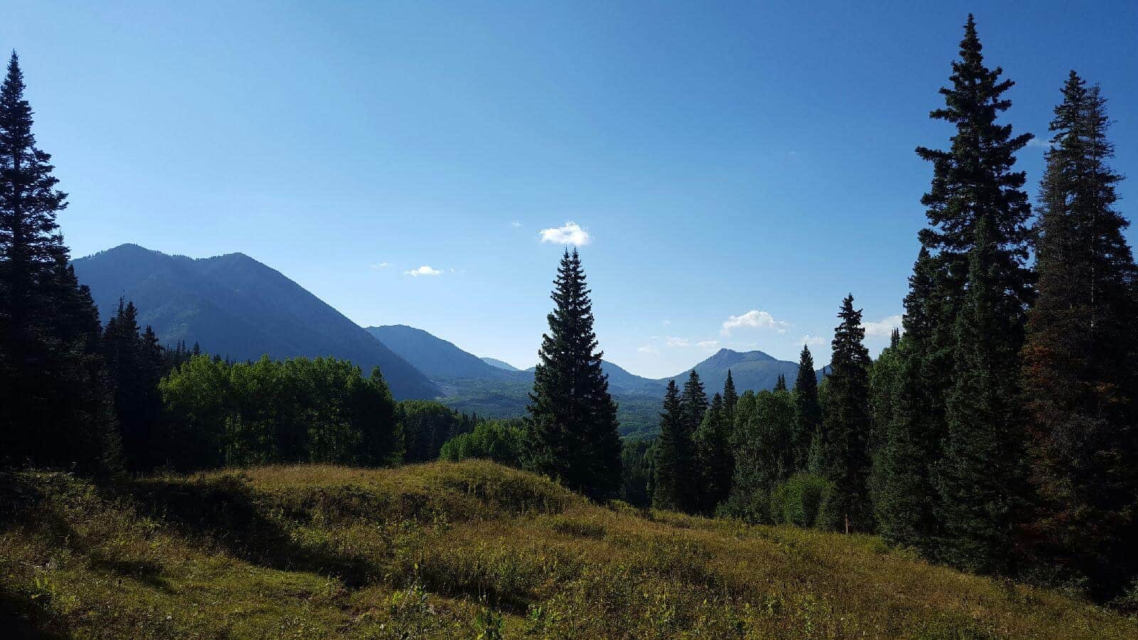 Colorado Wilderness Elk Hunting Outfitting Business for Sale