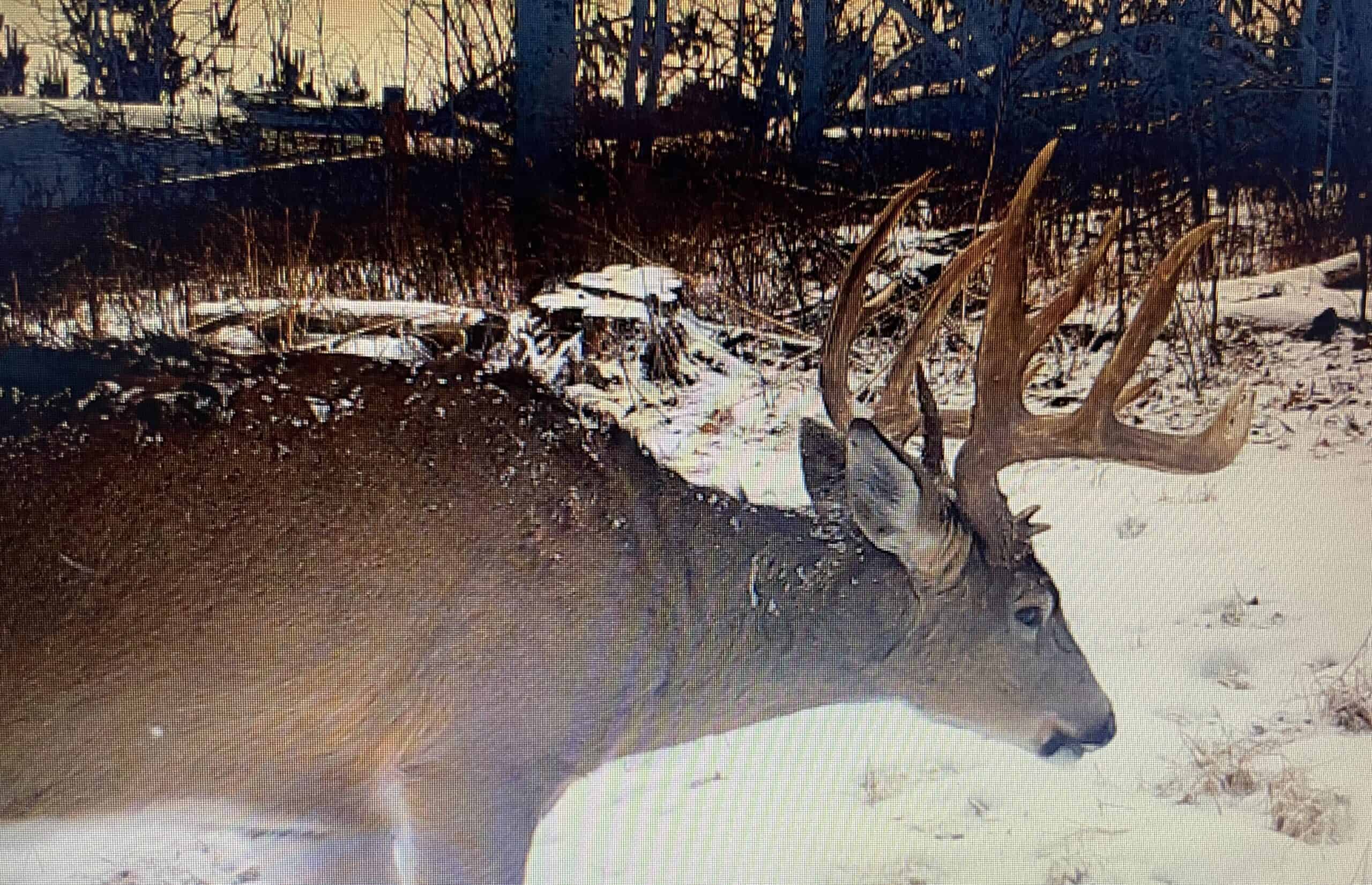 47± Acre Hunting Property with Cabin | Vernon County, Wisconsin