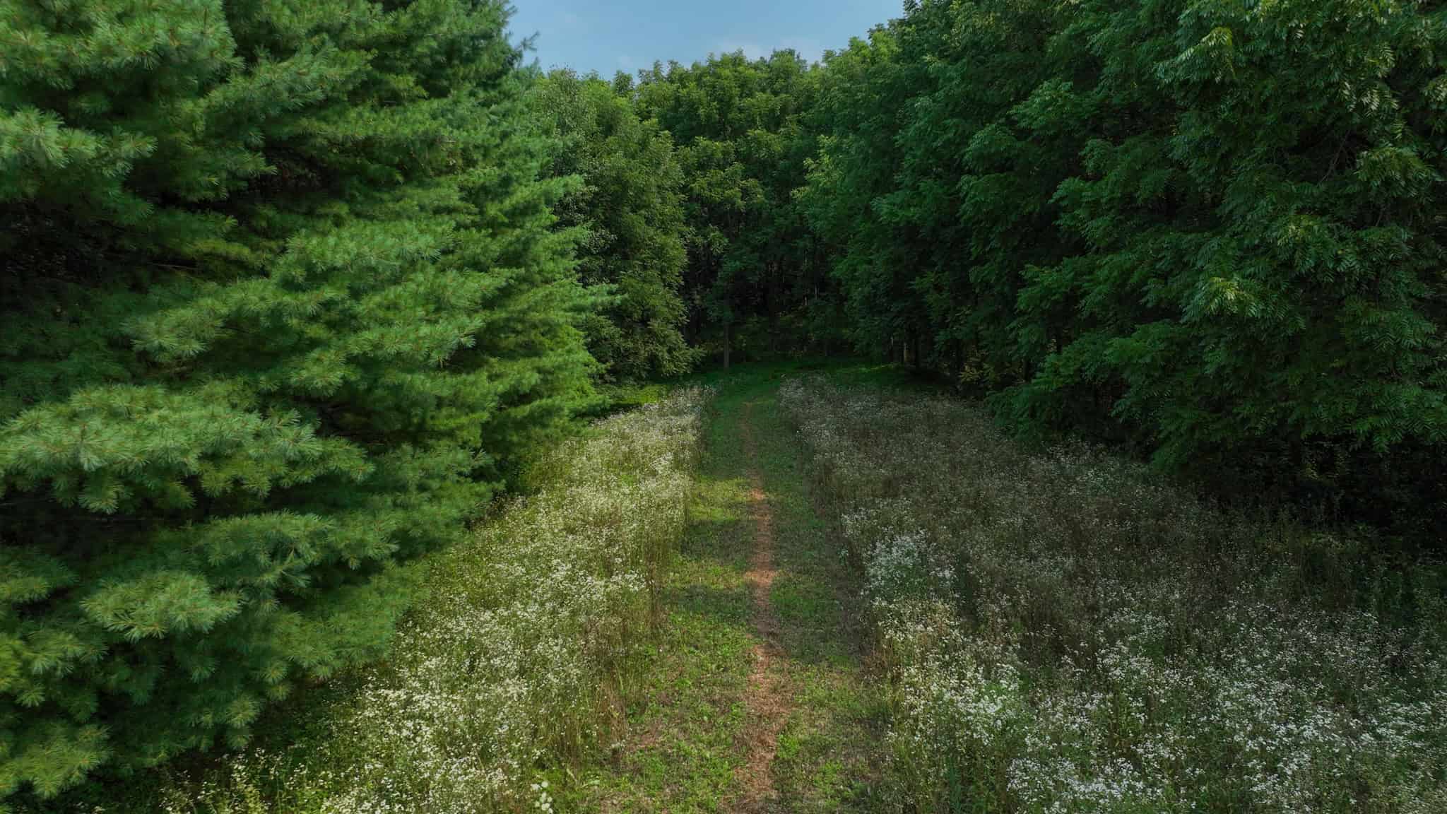40-Acre Richland County Hunting Retreat with Ridge-Top Ranch Home & Trophy Whitetail History