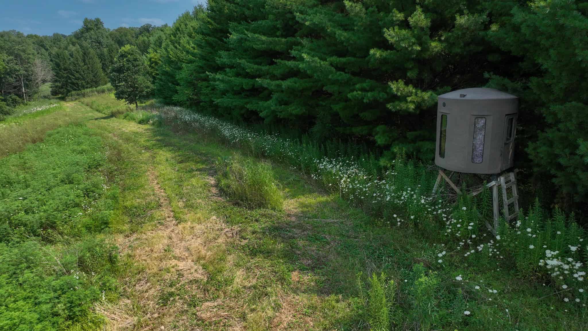 40-Acre Richland County Hunting Retreat with Ridge-Top Ranch Home & Trophy Whitetail History