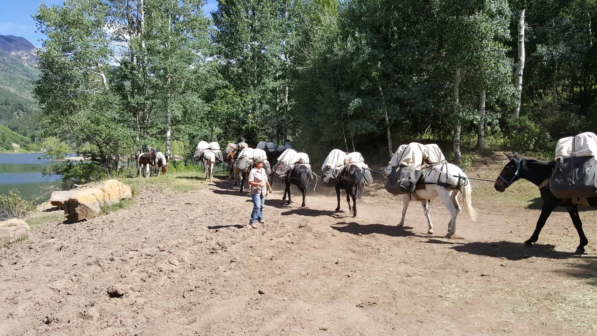 Colorado Wilderness Elk Hunting Outfitting Business for Sale