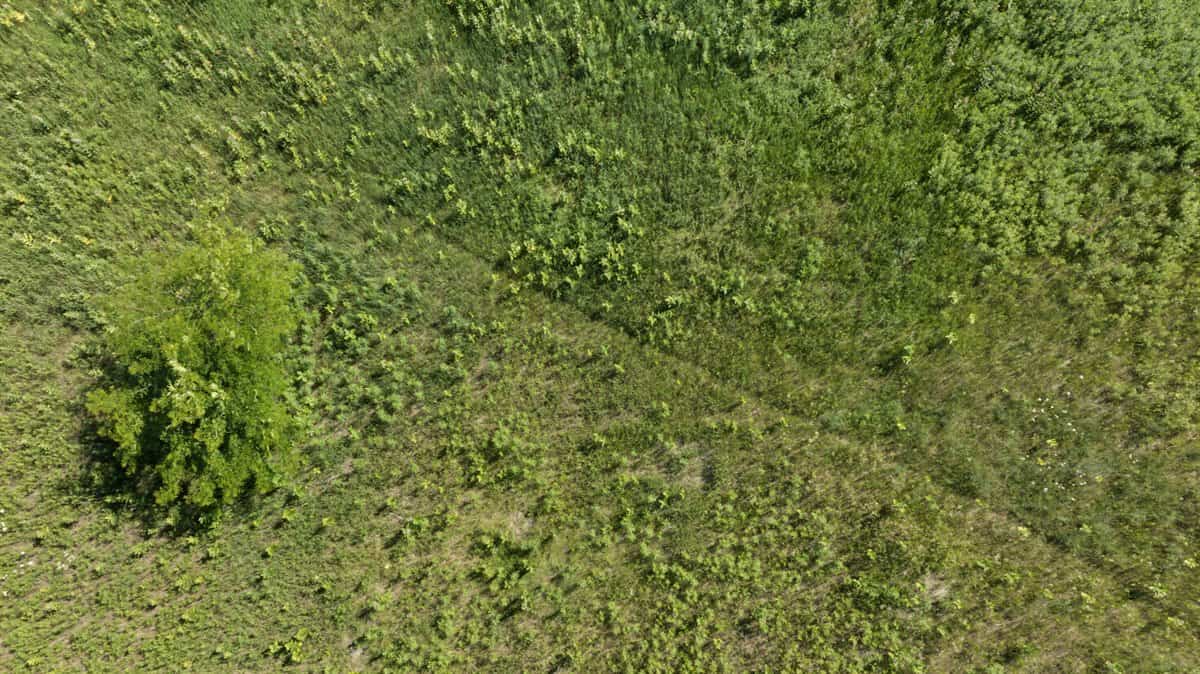 Wisconsin Conservation Land for Sale | 97± Acres in Monroe County