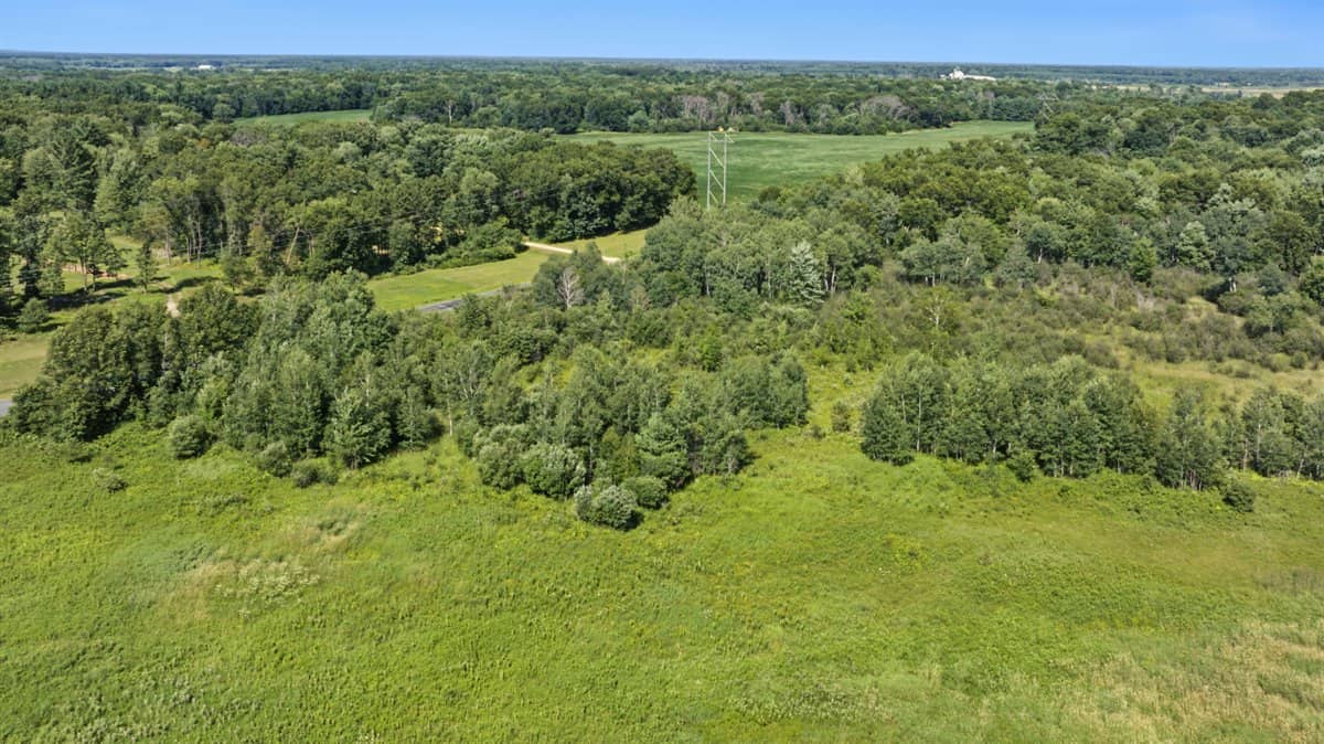 Wisconsin Conservation Land for Sale | 97± Acres in Monroe County