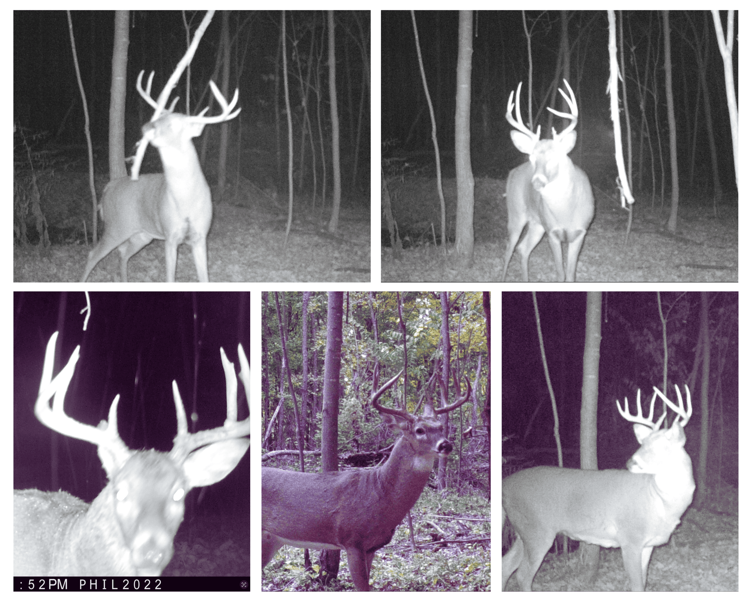 40-Acre Richland County Hunting Retreat with Ridge-Top Ranch Home & Trophy Whitetail History