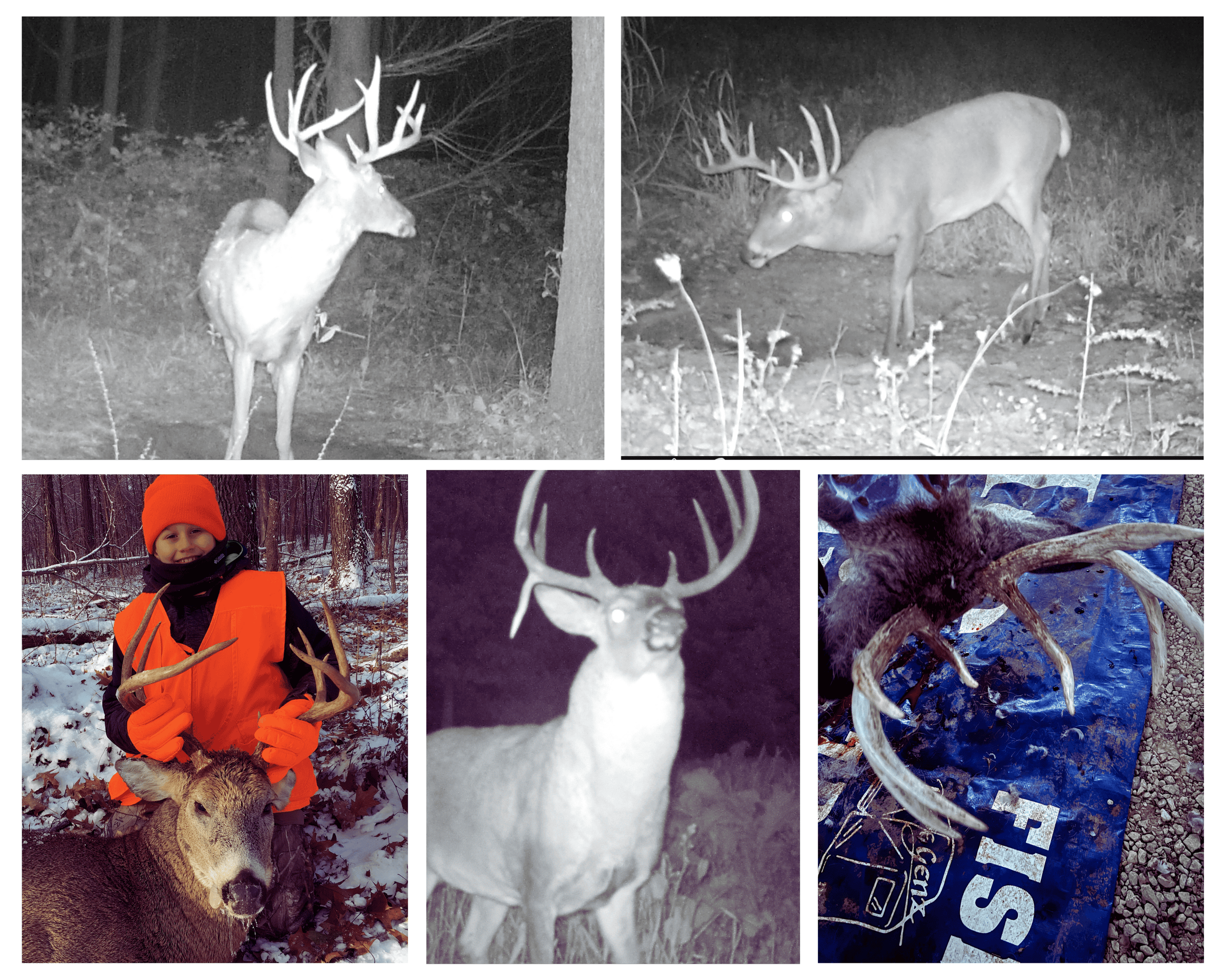 40-Acre Richland County Hunting Retreat with Ridge-Top Ranch Home & Trophy Whitetail History