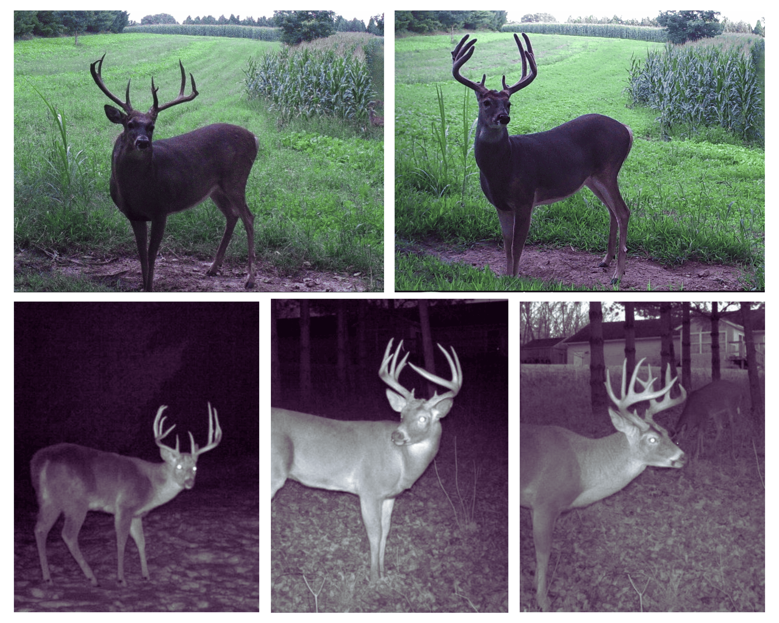 40-Acre Richland County Hunting Retreat with Ridge-Top Ranch Home & Trophy Whitetail History