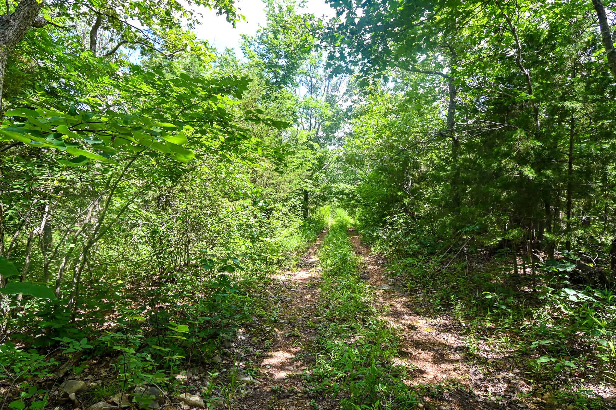 Truman Lake Hunting Property
