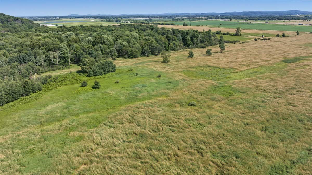 Wisconsin Conservation Land for Sale | 97± Acres in Monroe County