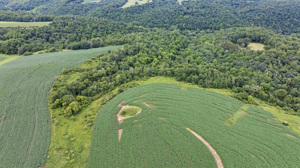 Exceptional 40± acre farm and recreational property
