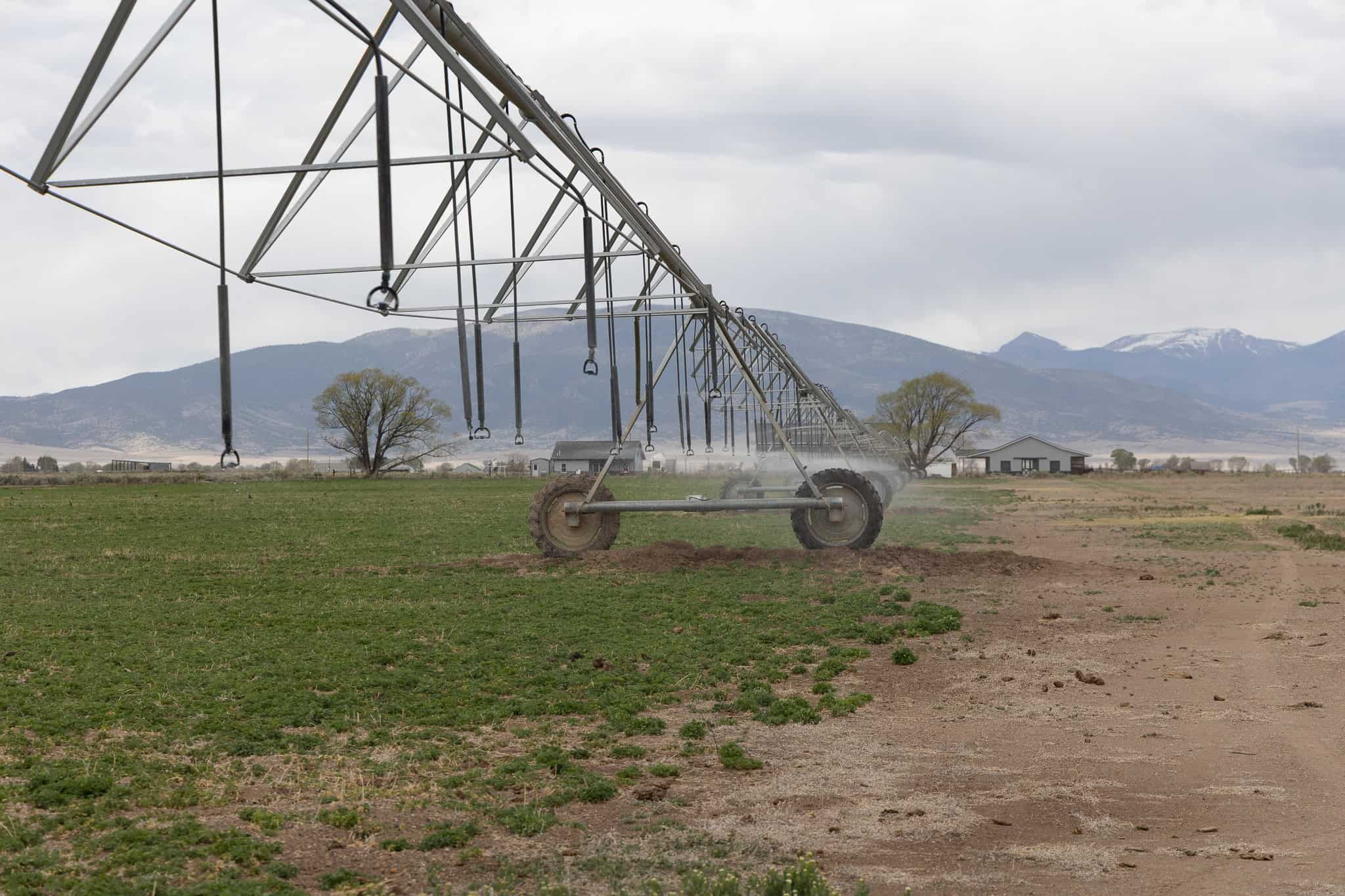 Colorado Alfalfa Farm and Waterfowl Duck Hunting Property