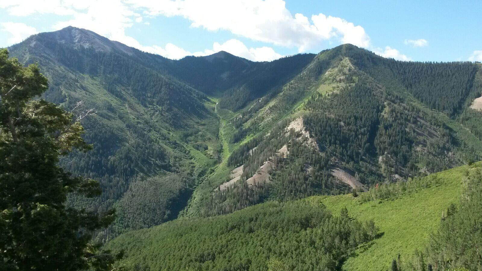 Colorado Wilderness Elk Hunting Outfitting Business for Sale