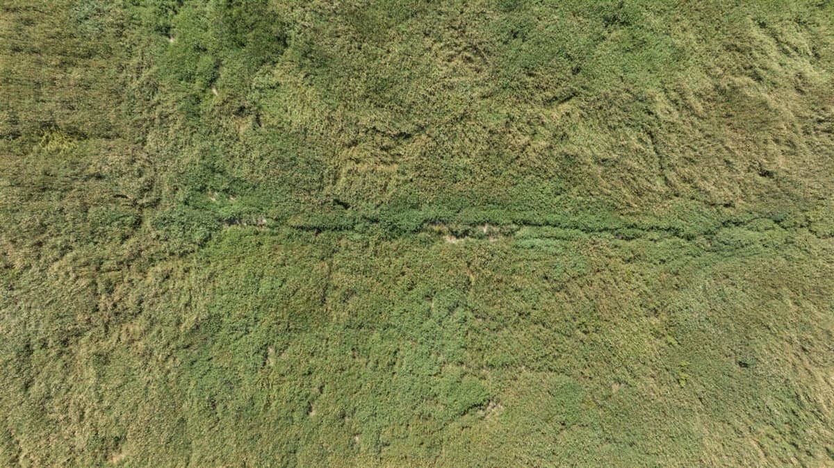Wisconsin Conservation Land for Sale | 97± Acres in Monroe County