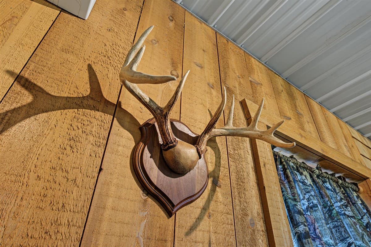 47± Acre Hunting Property with Cabin | Vernon County, Wisconsin