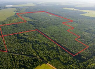 Jelks Bayou 360 – Timber and Hunting Investment Morehouse Parish