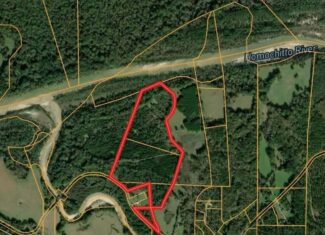 57 Acres Hunting Land for Sale in Gloster MS